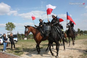 Pokaz zespołu konnego podczas zawodów