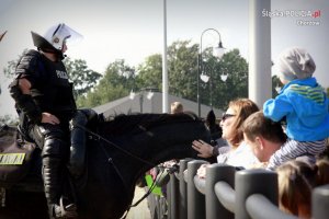 Pokaz zespołu konnego podczas zawodów