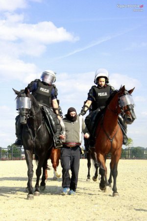 Pokaz zespołu konnego podczas zawodów
