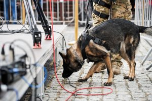 Lubuscy policjanci zabezpieczali wizytę Prezydenta RP