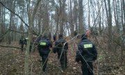 Dzięki akcji ratunkowej odnaleziono w lesie zaginioną ranną 64-letnią kobietę