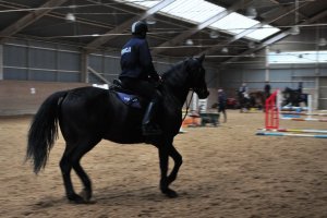 Policjanci podczas szkolenia Zespołów Konnych