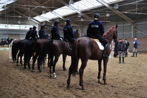 Policjanci podczas szkolenia Zespołów Konnych