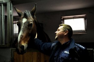 Policjanci podczas szkolenia Zespołów Konnych