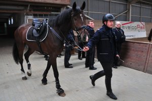 Policjanci podczas szkolenia Zespołów Konnych