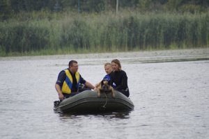 pies Nero podczas szkolenia na wodzie