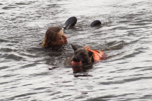 pies Nero podczas szkolenia na wodzie