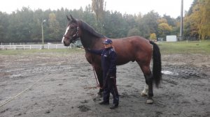 Heros - dziewiąty koń w szeregach zachodniopomorskiej Policji