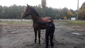 Heros - dziewiąty koń w szeregach zachodniopomorskiej Policji