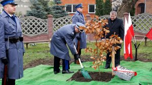 Dąb Pamięci aspiranta Klechamera
