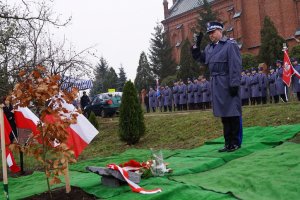 Dąb Pamięci aspiranta Klechamera