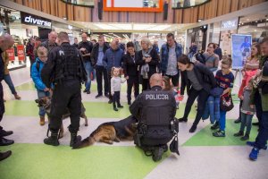 Służby razem dla Kingi Szwedy w „Zielonych Arkadach”