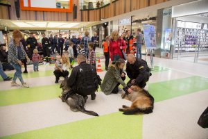 Służby razem dla Kingi Szwedy w „Zielonych Arkadach”