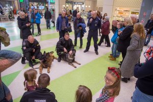 Służby razem dla Kingi Szwedy w „Zielonych Arkadach”