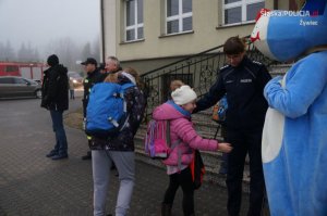 Wspólne działania dla poprawy bezpieczeństwa pieszych