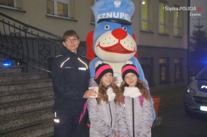 Wspólne działania dla poprawy bezpieczeństwa pieszych
