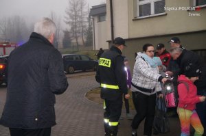Wspólne działania dla poprawy bezpieczeństwa pieszych