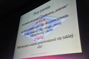 O przepisach, rozsądku i bezpieczeństwie na drodze