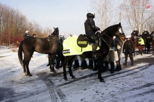 Atestacja koni policyjnych