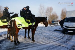 Atestacja koni policyjnych