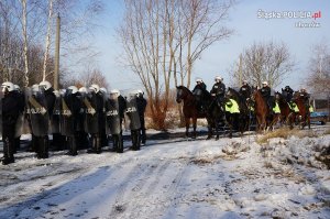 Atestacja koni policyjnych