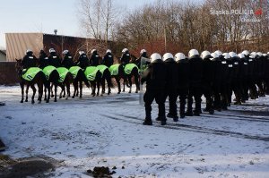 Atestacja koni policyjnych