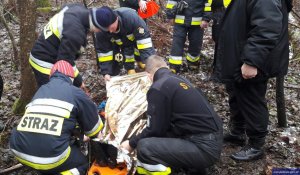 Policjanci i strażacy odnaleźli zaginionego 80-latka