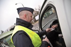 Policjanci w walce z ptasią grypą