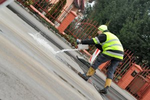 Policjanci w walce z ptasią grypą