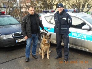 pies Cezar