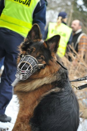 Lubuska Policja w trosce o bezdomnych