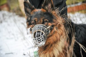 Lubuska Policja w trosce o bezdomnych