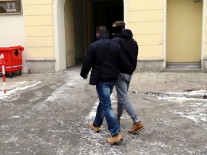 Śląska plantacja zlikwidowana