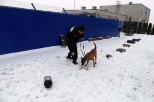 Wspólne szkolenie przewodników psów specjalnych