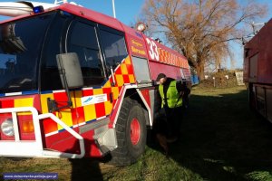 Wspólne szkolenie przewodników psów specjalnych