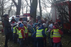 Wspólne pokazy służb na stawie w inowrocławskich Solankach