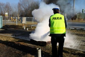 Skuteczna walka z ogniem. Strażacy szkolili policjantów