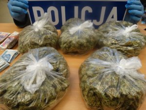 zabezpieczone narkotyki i pieniądze