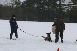 O bezpieczeństwie podczas „Międzynarodowego Tygodnia Projektowego” w Niemczech