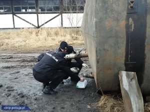 Wyłudzili podatki i wyprali 4 mln złotych na odbarwianiu oleju opałowego