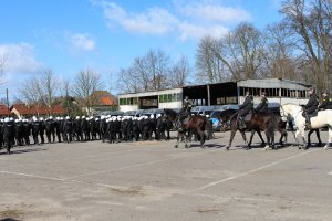 ćwiczenia Zespołu Konnego Wydziału Prewencji KWP Szczecine, Oddziału Prewencji Policji i KMP w Szczecinie