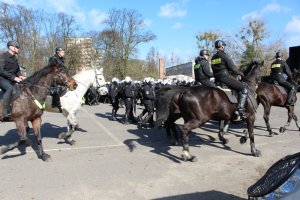 ćwiczenia Zespołu Konnego Wydziału Prewencji KWP Szczecine, Oddziału Prewencji Policji i KMP w Szczecinie