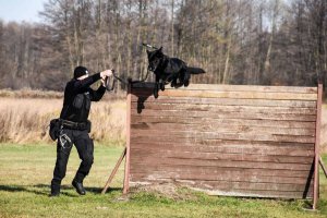 „Kanton” – policjant na czterech łapach