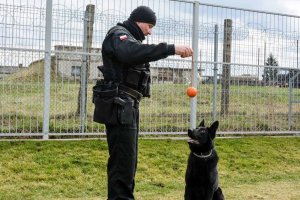 „Kanton” – policjant na czterech łapach