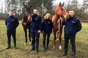 Nowe wierzchowce w śląskiej policji