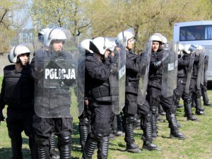 Certyfikacja koni przeznaczonych do służby w policji