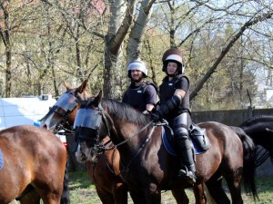 Certyfikacja koni przeznaczonych do służby w policji