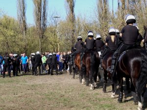 Certyfikacja koni przeznaczonych do służby w policji