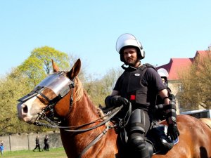 Certyfikacja koni przeznaczonych do służby w policji