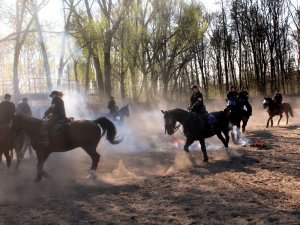 Certyfikacja koni przeznaczonych do służby w policji